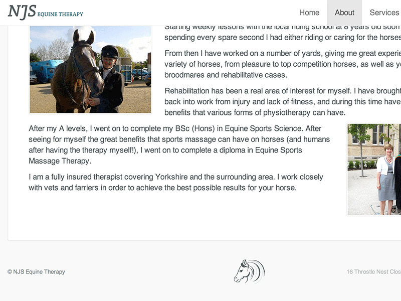 Screenshot of NJS Equine Therapy web design.