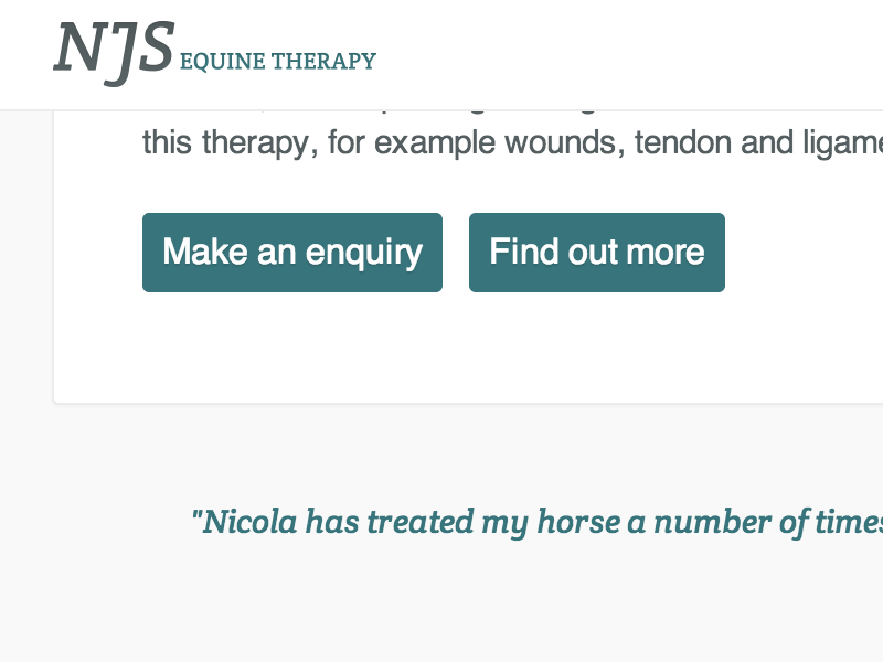 Screenshot of NJS Equine Therapy web design.