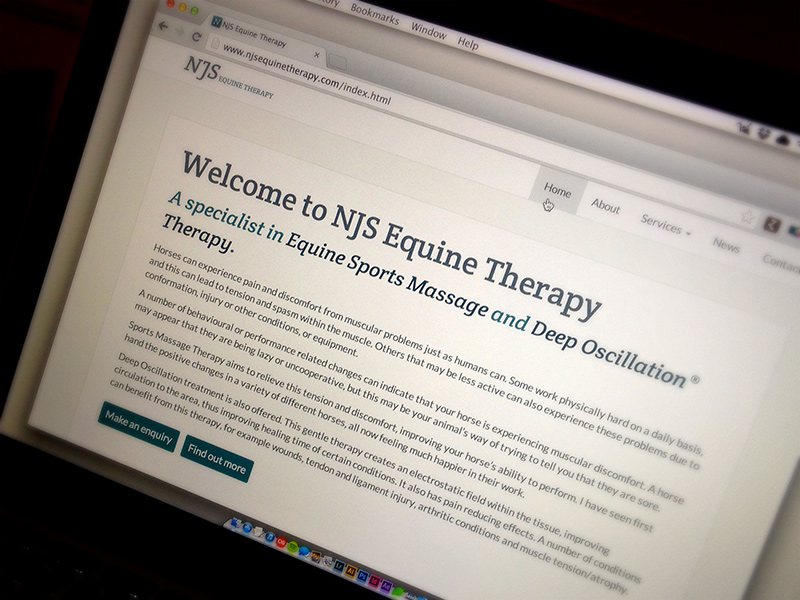 Photo of NJS Equine Therapy home page.