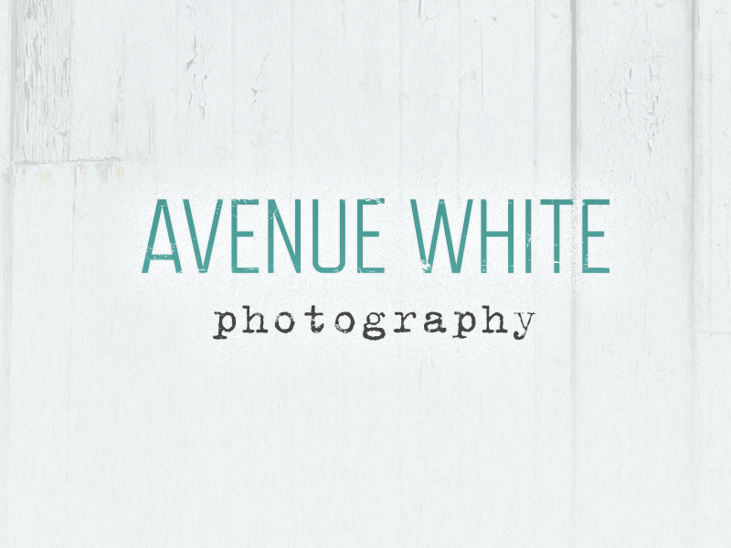 Screenshot of Avenue White Photography logo design.