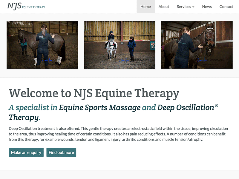 Screenshot of NJS Equine Therapy home page design.