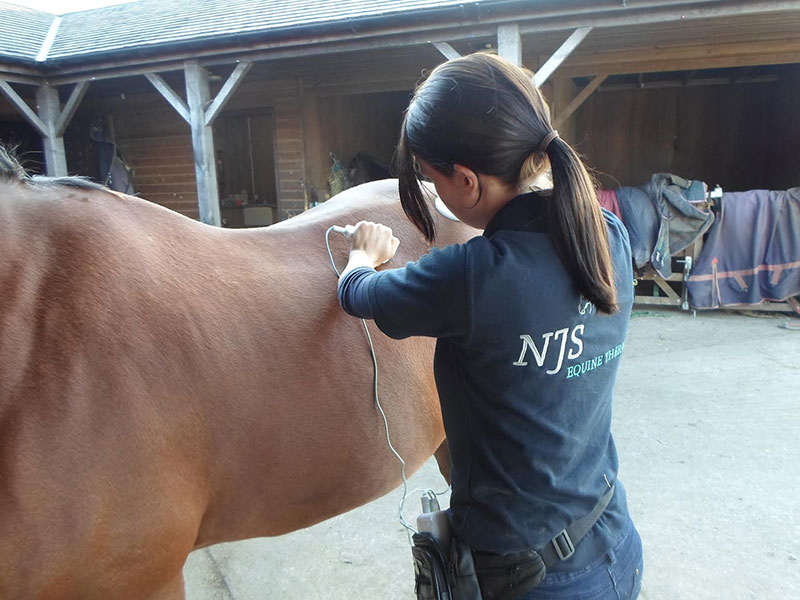 Photo of NJS Equine Therapy uniform design.
