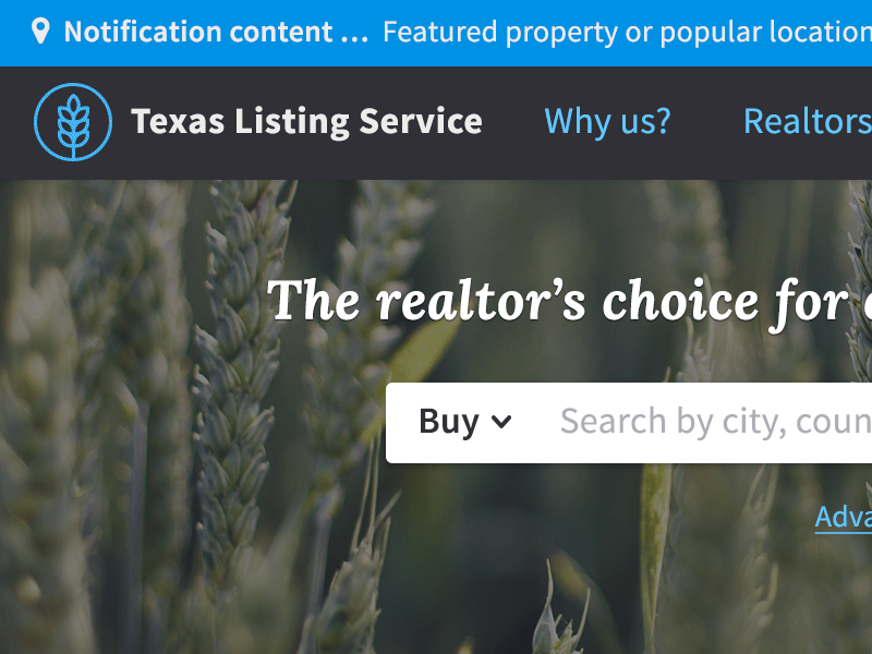 Screenshot of Texas Listing Service home page design.